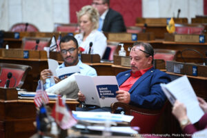 Legislative Education Committee explores critical race theory and its potential presence in schools